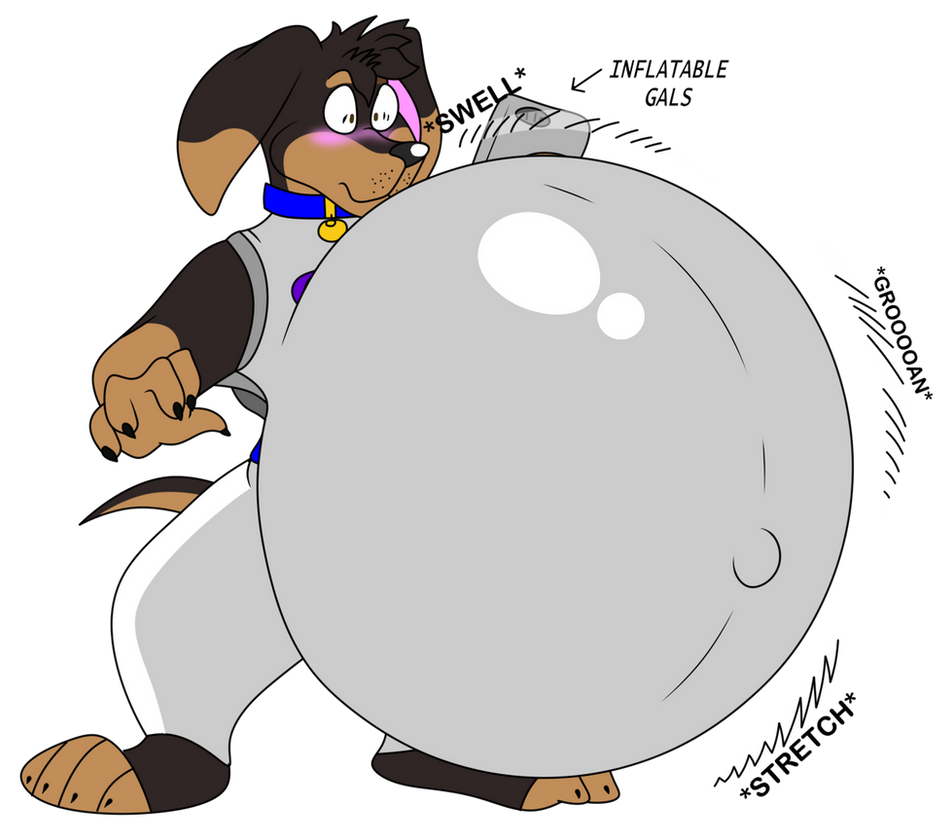 Bush Dog Inflatie Dachgum belly inflation by Dachgum on DeviantArt