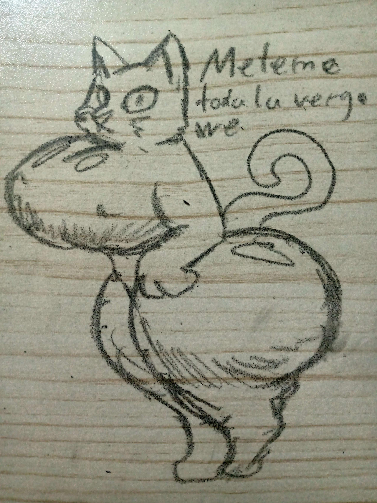 Sexy thicc Cat girl meme by Dachgum on DeviantArt