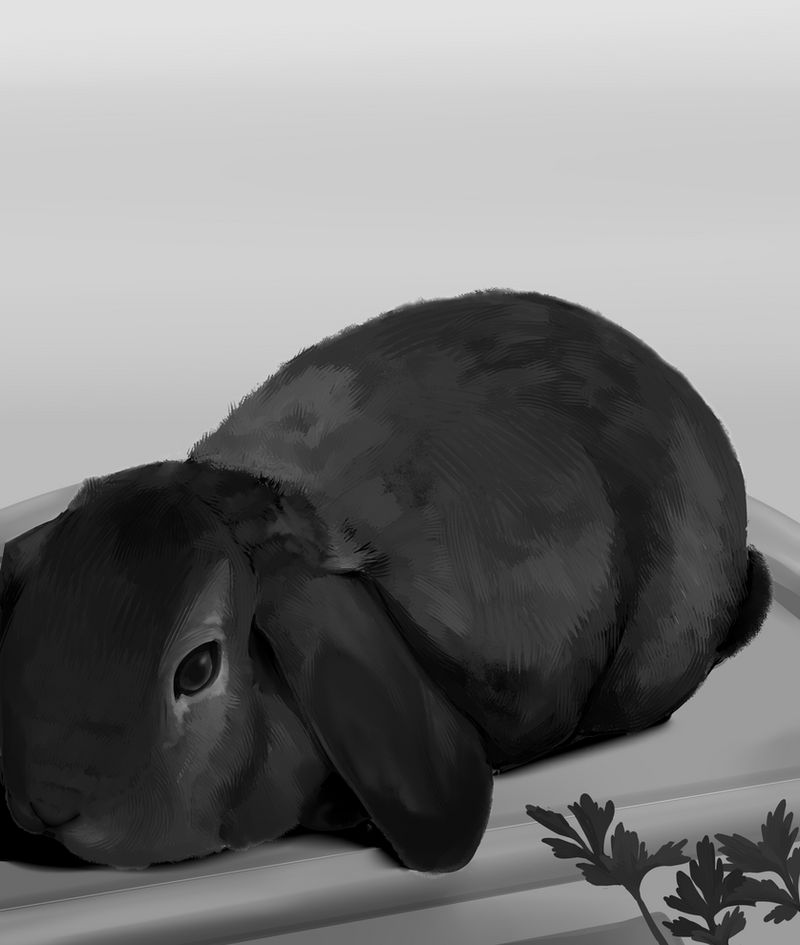 Bunny in black by HikariAlien on DeviantArt