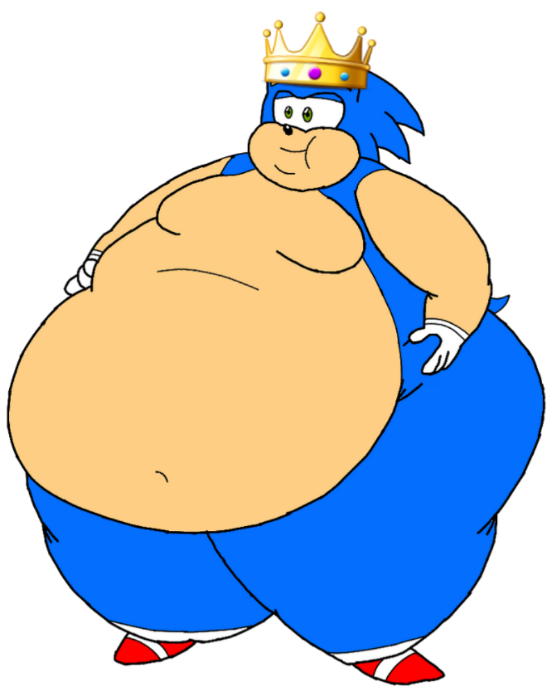 Fat King Sonic by Oshi234 on DeviantArt