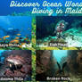 Scuba Diving in Maldives Top 10 Places And Water A