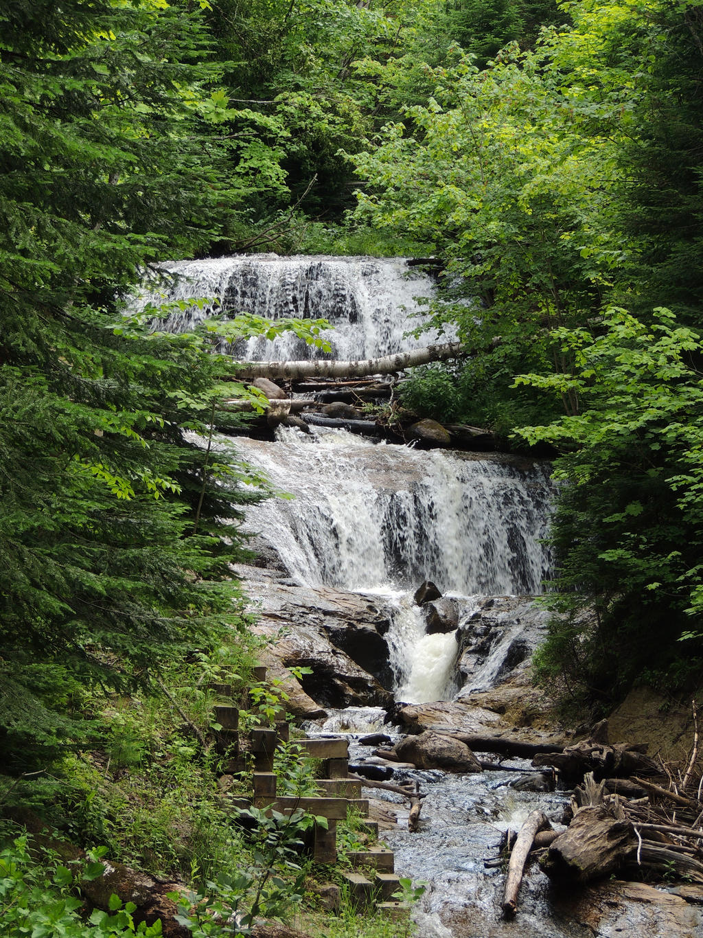 Evergreen Waterfall