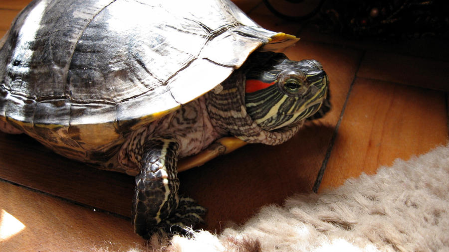 Dev6 by ThenaLove on DeviantArt