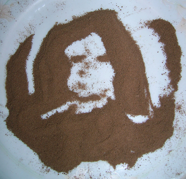 chocolate powder  2