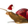December Snail