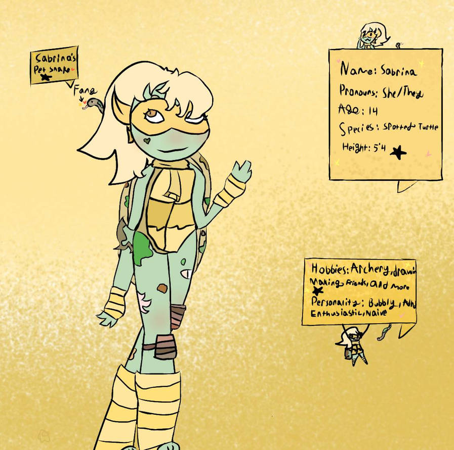 Tmnt Oc Roxy Redesign of 2012 tmnt oc by Gracekitzz on DeviantArt