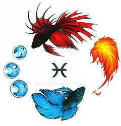 Elemental Beta Pisces Tattoo D