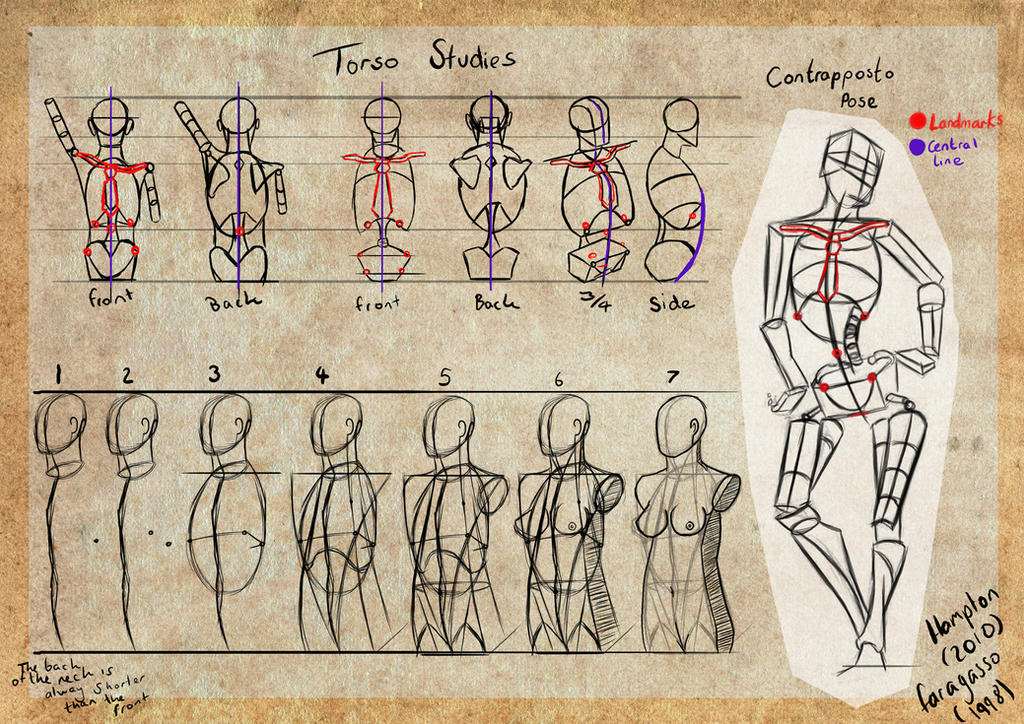 Writhing Torso Torso by HannahPalmer96 on DeviantArt