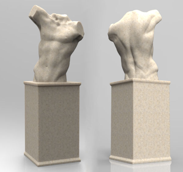 Torso Sculpt