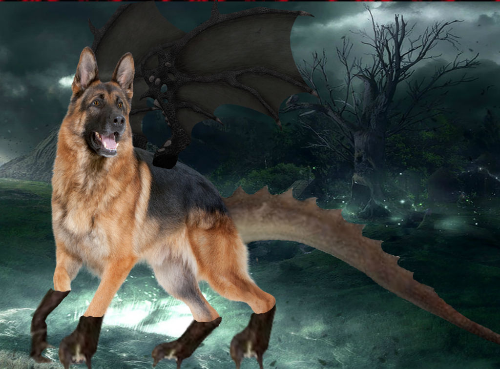Dog Dragon By Umbegirl On DeviantArt dog-dragon-by-umbegirl-on-deviantart