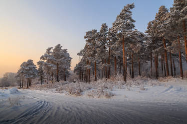 Winter road