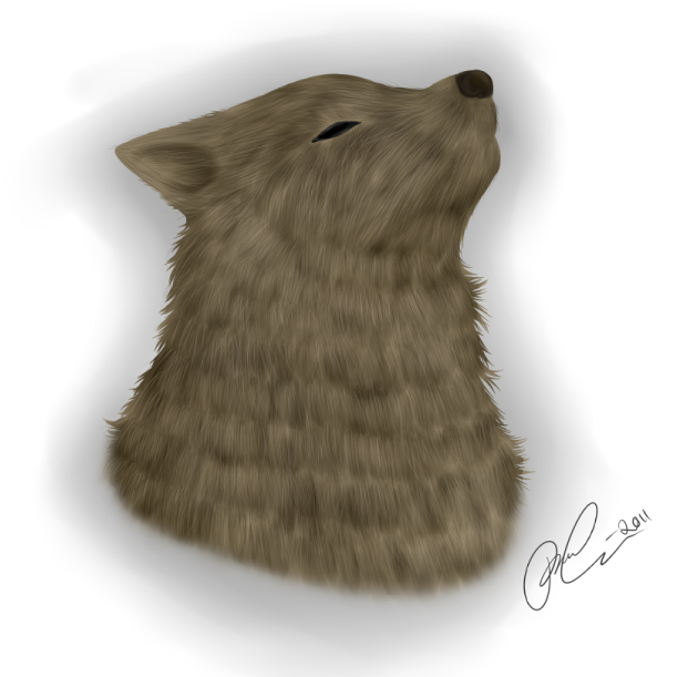 Fur practice