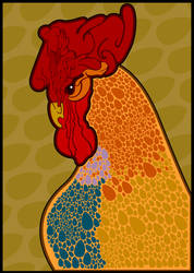 Rooster