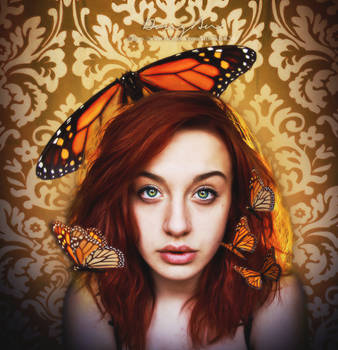 042115. Butterfly by FizHamsel