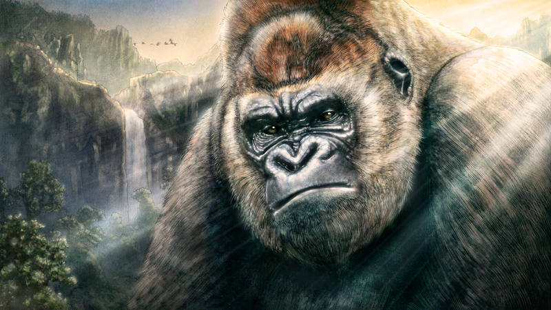 Ape by ongchewpeng Ape by ongchewpeng