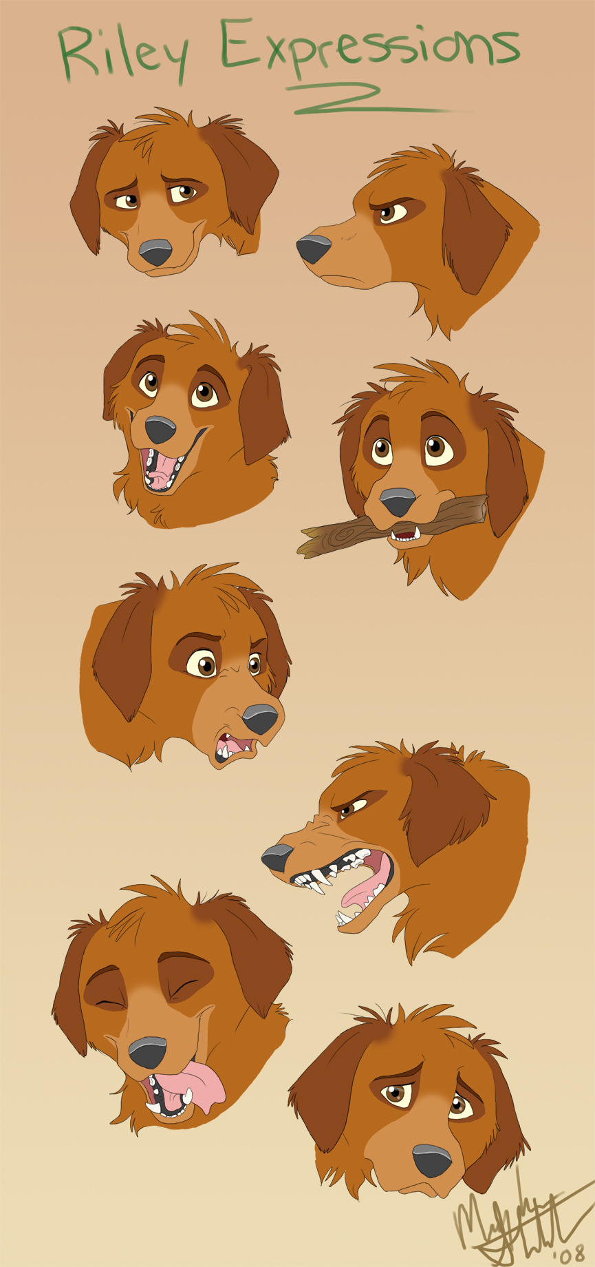 Riley Expressions