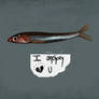 Anchovy