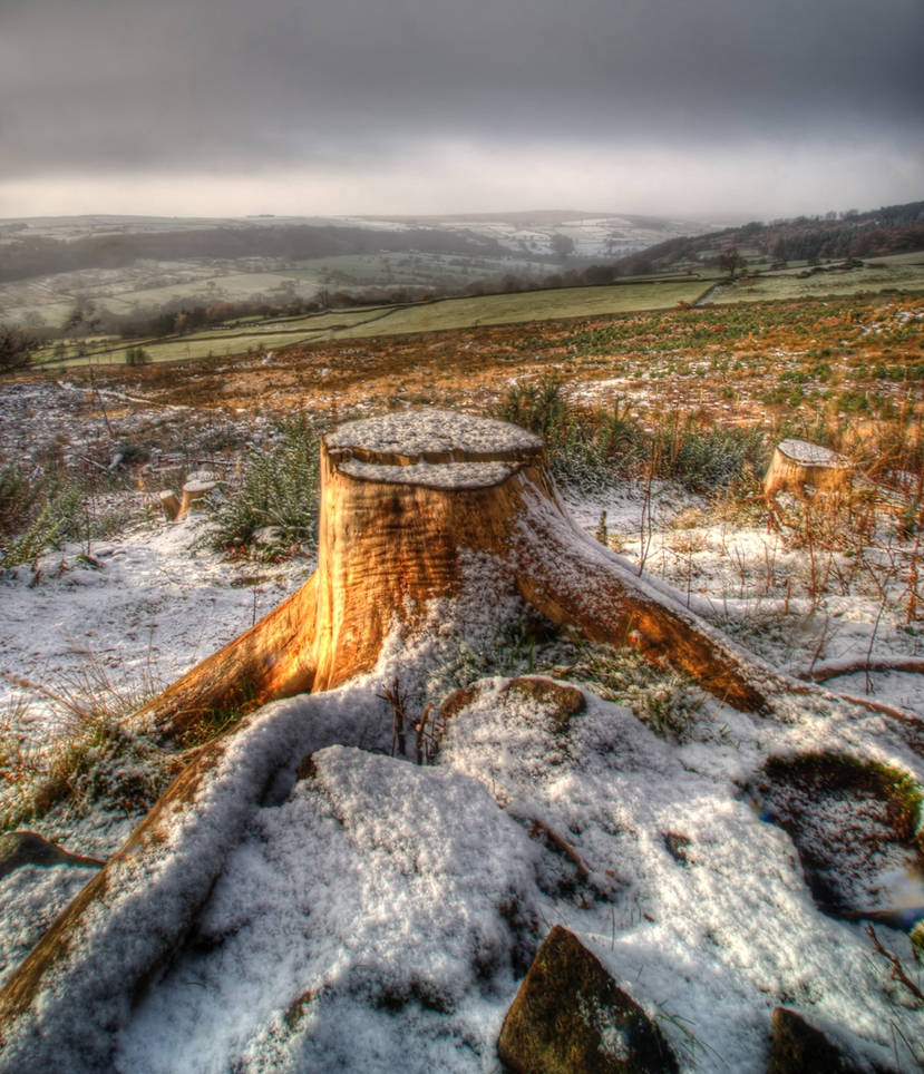 A light dusting by theoden06 on DeviantArt