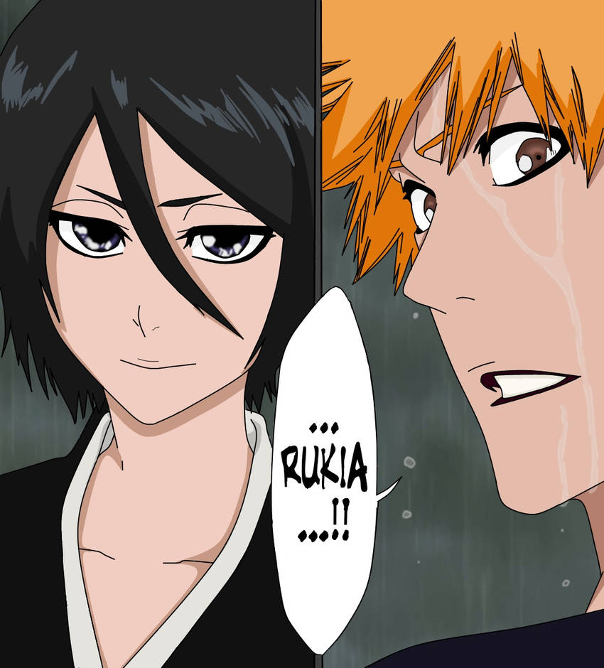 rukia and ichigo reunion by frozenheavens222211 on DeviantArt
