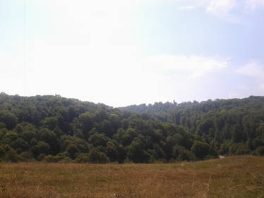 Countryside of Berovo