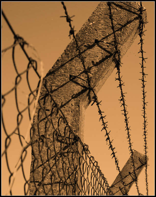 barbwire