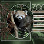 Zoo