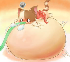 Poor kitten inflated pt.2