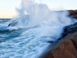 Dance of the sea