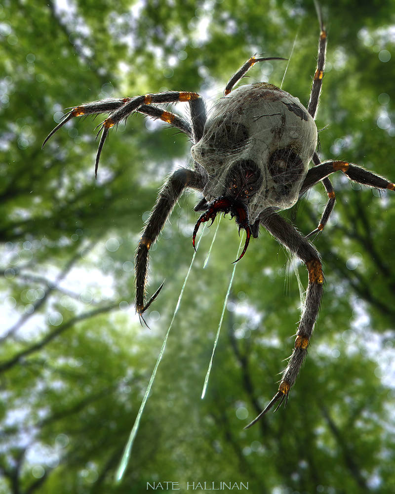 Skulltula Ambush by NateHallinanArt
