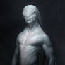 Male Zora Concept 01