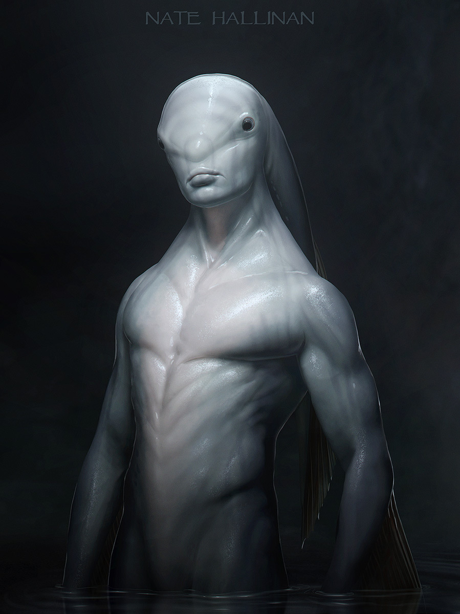 Male Zora Concept 01