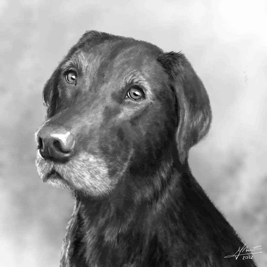 Deviantart Old Jacob Old Jaco by mjnorenac on DeviantArt