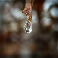 Frozen Tear