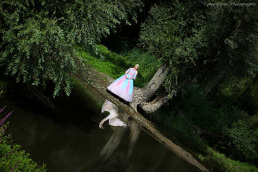 Barbie lac des cygnes / Barbie of Swan lake