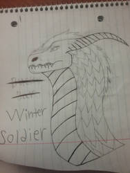 Winter Soldier Headshot