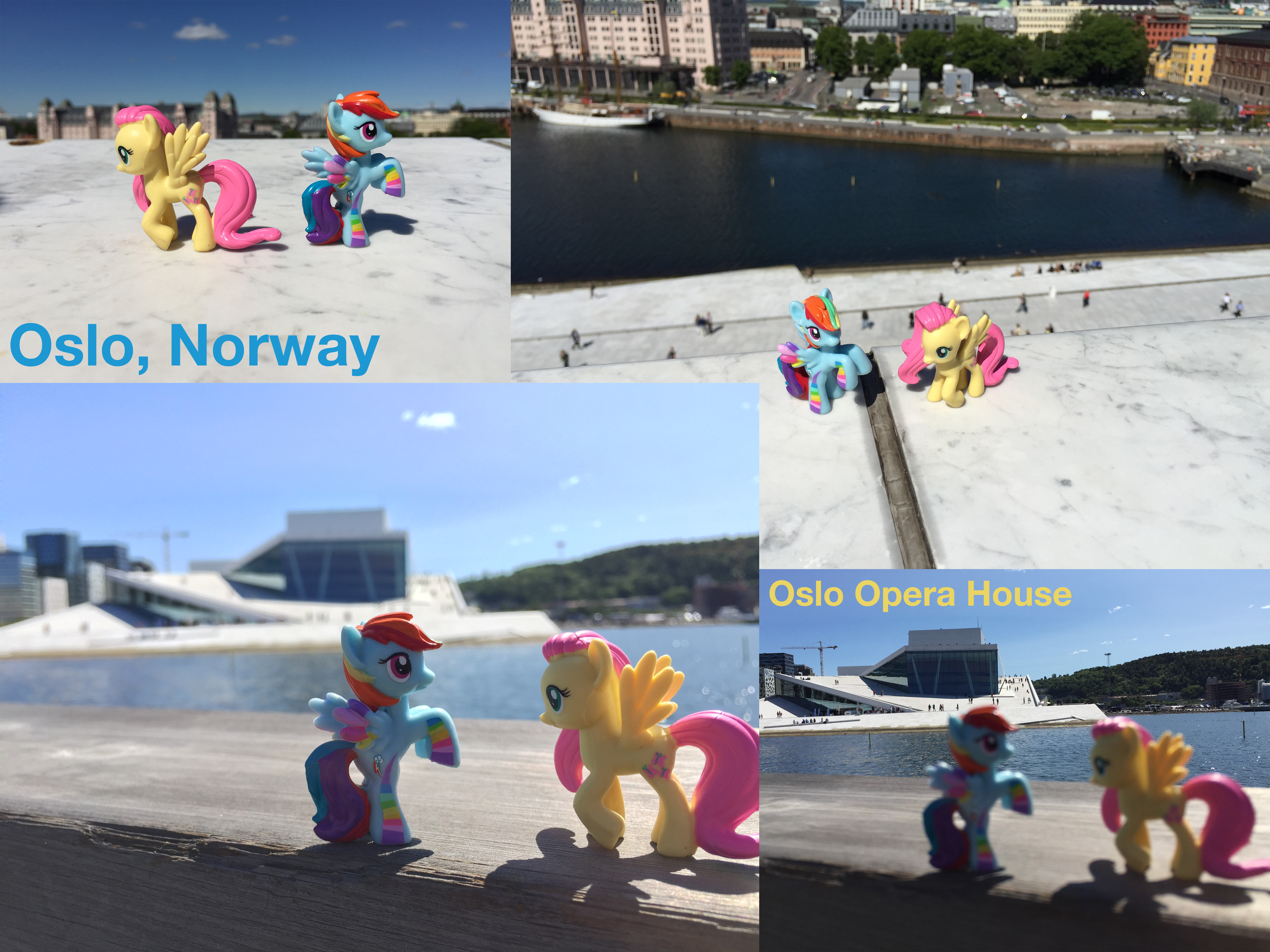 Ponies Around the World 2015 - Oslo