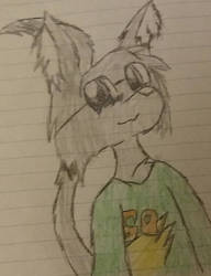 Crappy Artwork of my Wolf Fursona