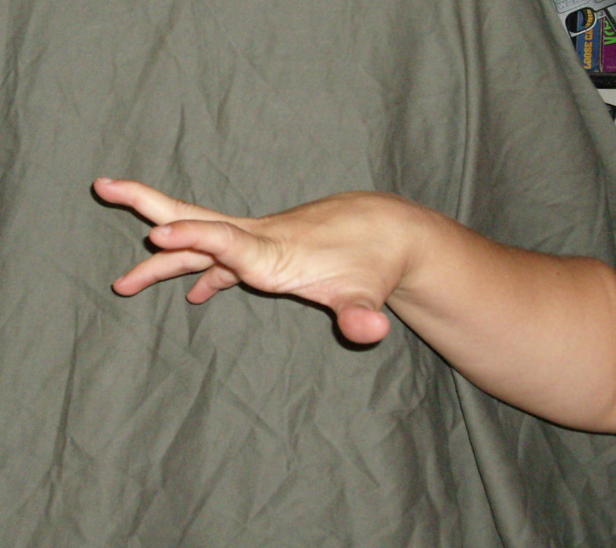 Dub Hand Hand 009 by hyenacub-stock on DeviantArt