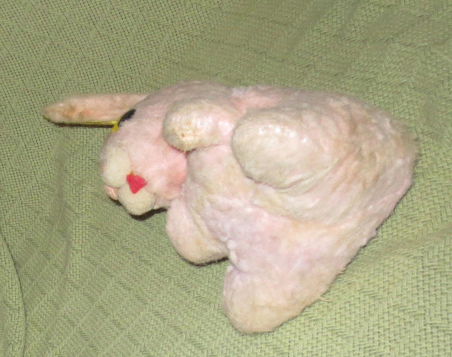 Creepy Bunny Toy 4