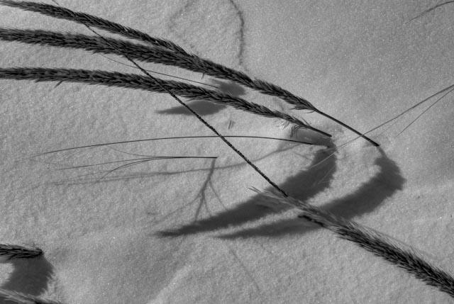 Shadow Symbology by dwduluth on DeviantArt