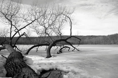 Frozen on the Lake