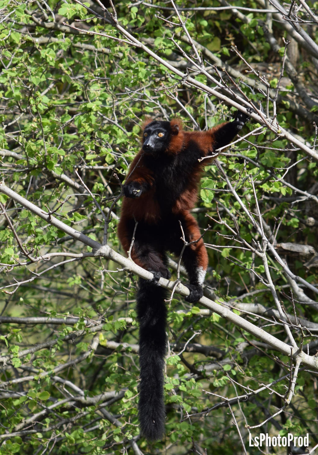 Le guetteur by LsPhotoProd on DeviantArt