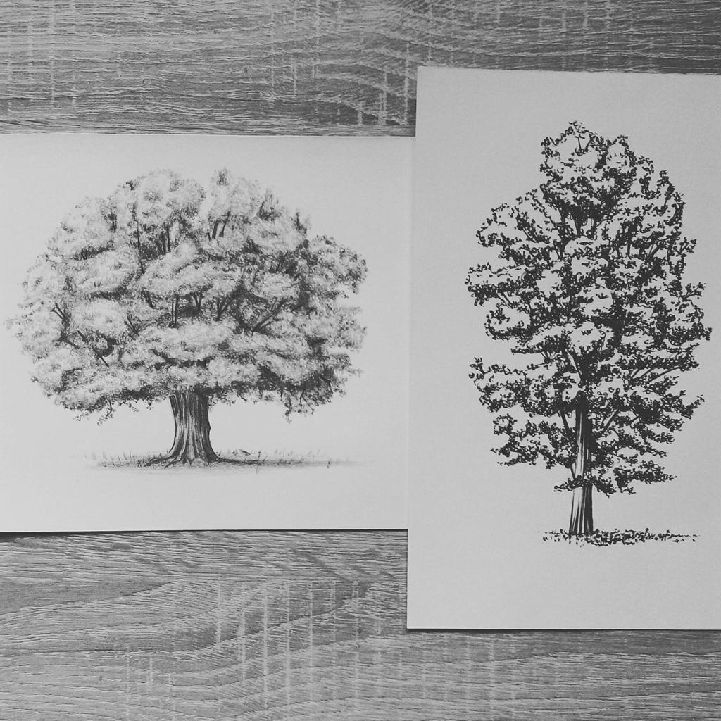 Pencil tree vs Inked tree which one you like? :) by HonzikSuchy on ...