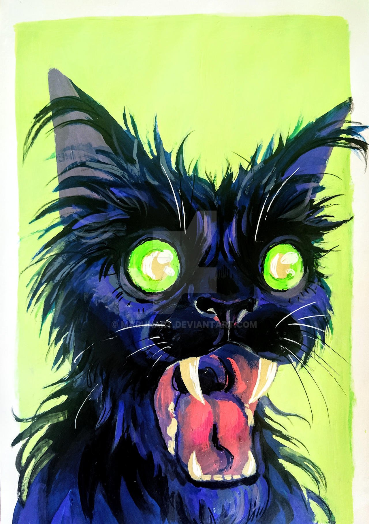 Kitty