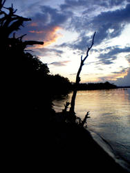 Sunset in Florida