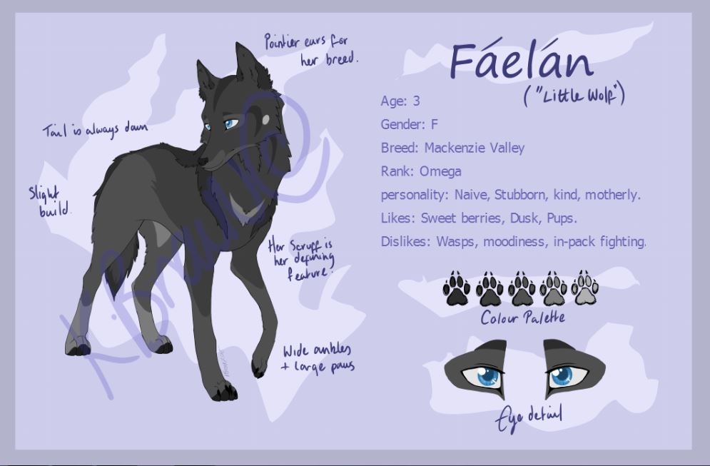 Faelan OC reference sheet.