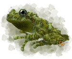 Portrait Commision - Mossy Frog by ArtbyWhatTheFox