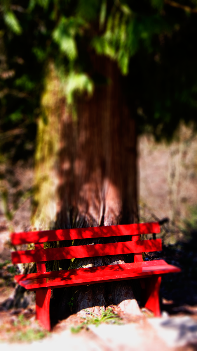 Red Bench waiting ...