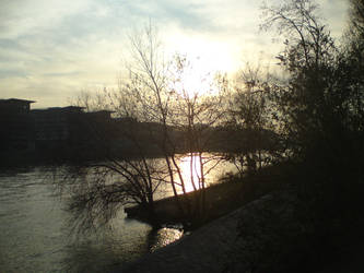 Les_Bords de seine