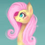 Commish: Fluttershy